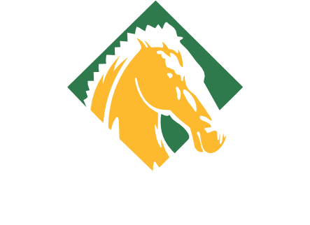 N.G. Global logo